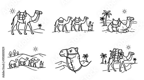 camels in desert line vector set. black color sketches style on white background. Vector illustration.