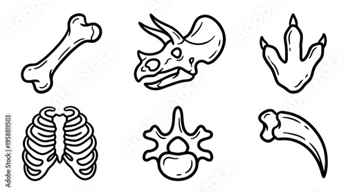 dinosaur bone line vector set. black color sketches style on white background. Vector illustration.