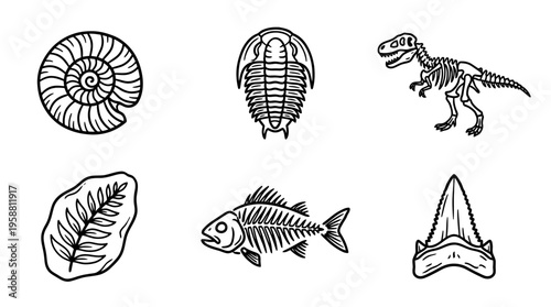 fossil line vector set. black color sketches style on white background. Vector illustration.