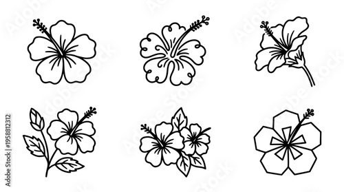 hibiscus line vector set. black color sketches style on white background. Vector illustration.