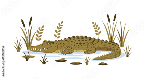A large brown crocodile with visible scales lies partially submerged in shallow blue water surrounded by reeds and aquatic plants.