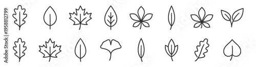 set of various leaf icons line art vector illustration on transparent background