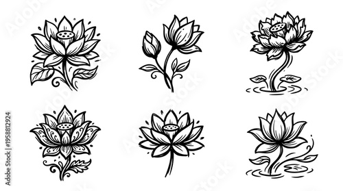 lotus line vector set. black color sketches style on white background. Vector illustration.