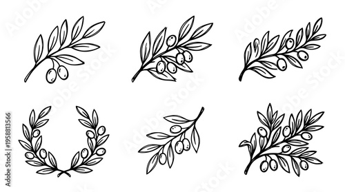 olive branch line vector set. black color sketches style on white background. Vector illustration.