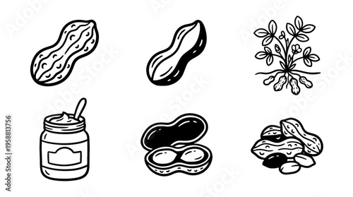 peanuts line vector set. black color sketches style on white background. Vector illustration.