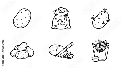 potato line vector set. black color sketches style on white background. Vector illustration.