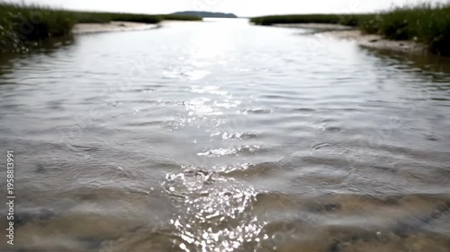 Calm water flowing through a marshy area with sunlight reflecting on the surface.