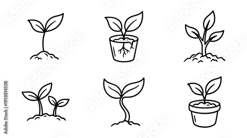 sprout line vector set. black color sketches style on white background. Vector illustration.