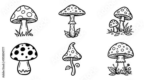 toadstool line vector set. black color sketches style on white background. Vector illustration.
