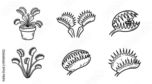 venus flytrap line vector set. black color sketches style on white background. Vector illustration.