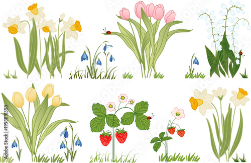 Vector collection of spring plants including pink and yellow tulips, white daffodils, lily of the valley, snowdrops, strawberry bushes with flowers and berries, and grass elements. 