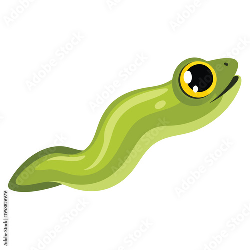 Vector illustration of frog tadpole perfect for amphibian life cycle study biology education nature and wildlife themed creative designs