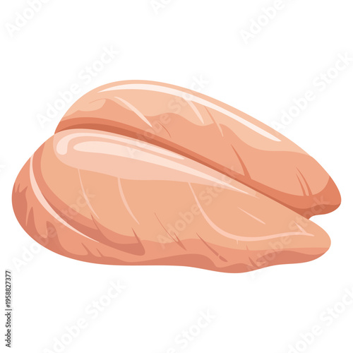 Vector illustration of raw chicken breast part of chicken carcass on white background ideal for poultry packaging butcher branding and food menu themes