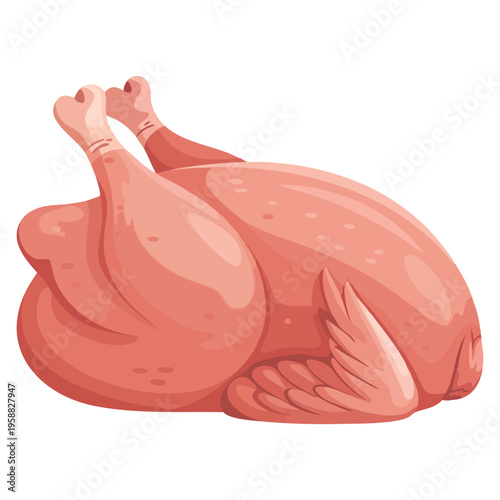 Vector illustration of whole fresh raw chicken on white background suitable for food packaging butcher branding restaurant menu and poultry design themes