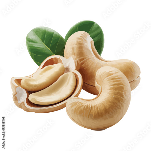 Fresh mushrooms on a white background ready for cooking