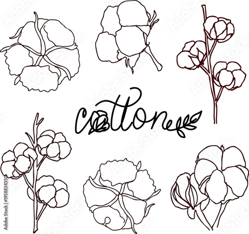 Set of hand-drawn cotton flower branches in minimalist line art style. Vector floral illustrations of organic cotton bolls for eco-friendly branding, textile design, botanical posters, and natural 