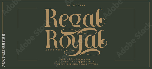 Regal Royal premium luxury elegant alphabet letters and numbers. Elegant wedding typography classic serif font decorative vintage retro. Creative vector illustration