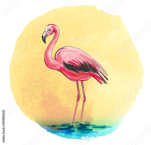 Tableau sur toile This flamingo has a great classic naturalist feel to it
