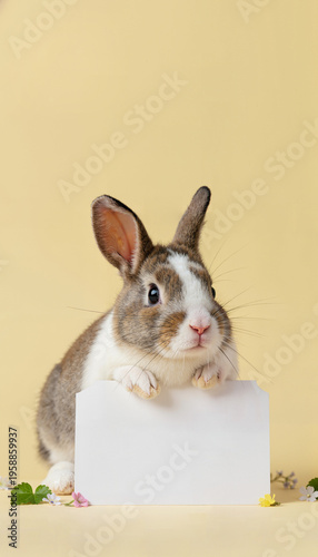 Vertical portrait of a brown and white rabbit holding a blank white sign. Spring Easter bunny with a paper card for message on a pastel yellow background with small flowers. Copy space for text