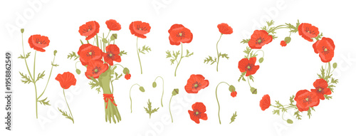 Poppy Bouquet And Wreath Botanical