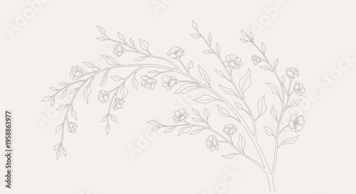 Detailed illustration of mistletoe branch.