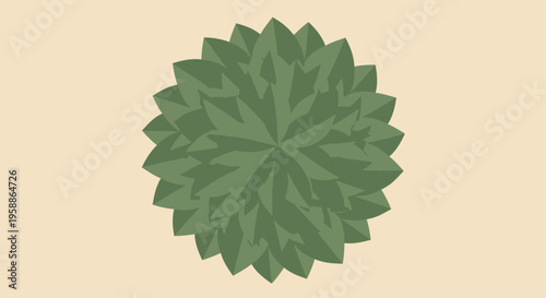 Green Leafy Plant Circular Pattern.