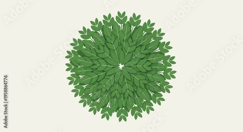 Green plant leafy circular bush top.