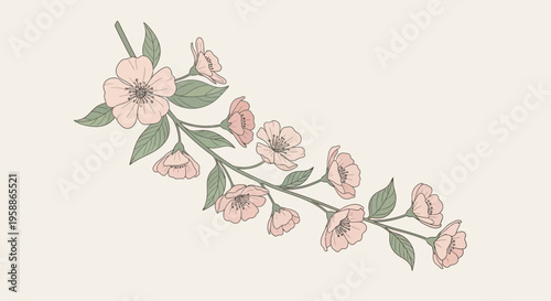 Pink flowers on a stem 1.