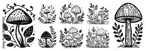 Mushroom and fungi sketch set with botanical leaves, hand drawn forest nature icons for cottagecore and autumn design, black and white doodle elements