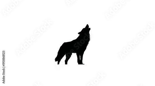 A silhouette depicts a lone wolf howling upward against a stark white backdrop