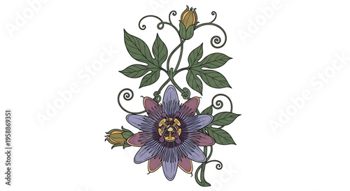 A beautiful floral vector graphic of a purple flower with green leaves and stems on a white background