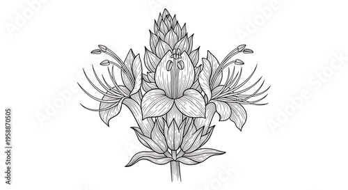 A delicate floral illustration of a blooming artichoke flower in a simple line art style