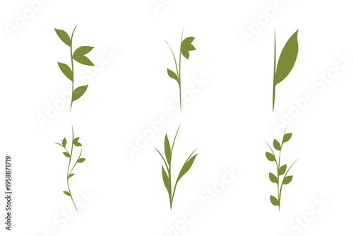 Six distinct green plant stems with various leaf shapes and arrangements are presented as simple illustrations. They are isolated on a crisp white background, suitable for diverse design needs.