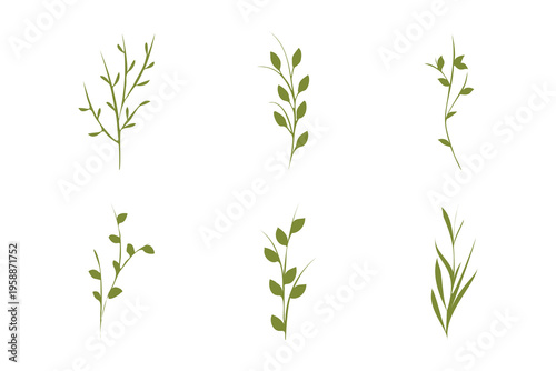 A collection of six stylized green plant stems, some with leaves and some as bare branches, displayed on a clean white background. These graphic elements are ideal for nature themed designs.