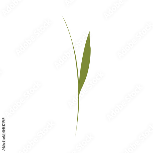 A single, thin green plant stem with a leaf points upwards. It stands alone against a clear white background, showing new growth and simplicity.