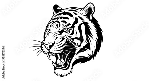 Roaring Tiger Head Closeup Illustration.