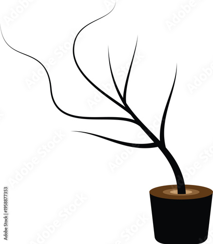 Black plant with bare branches in brown pot on white background bare tree