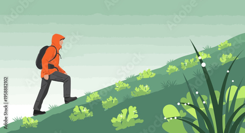 Active Hiker Ascending Verdant Hillside Amidst Morning Dewy Grasses