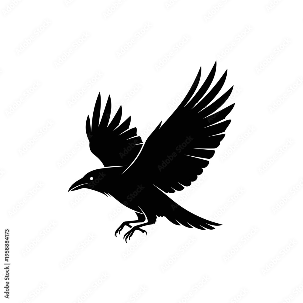 Fototapeta premium Black bird in flight motion wings.