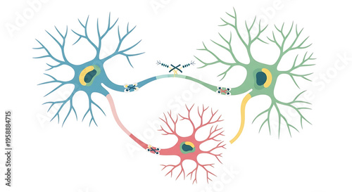 A colorful vector graphic illustration of neurons communicating with each other