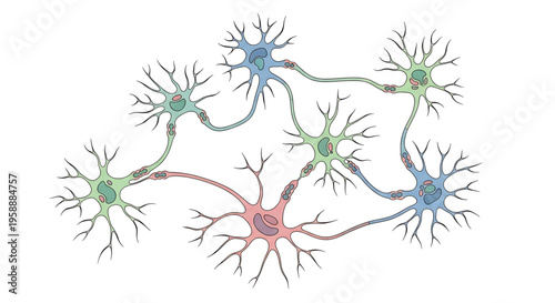 A colorful vector graphic illustration of interconnected neurons on a white background