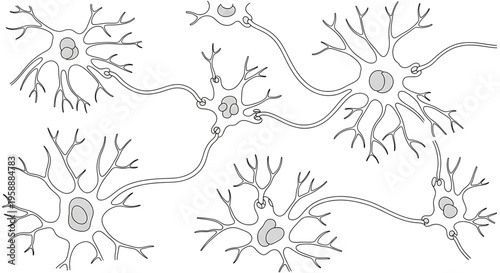 A detailed illustration of interconnected neurons in the human brain, showcasing their complex structure and connections.