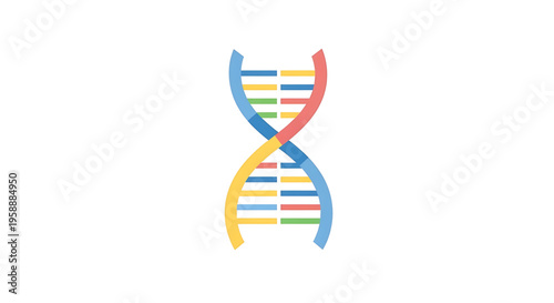 A colorful DNA double helix vector graphic symbolizing genetics and biotechnology