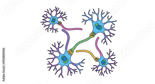 A colorful vector graphic illustration of interconnected neurons in the brain, representing neural connections and communication.