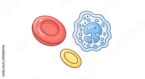 A colorful vector illustration of blood cells, including a red blood cell, a white blood cell, and a platelet, in a simple and modern design style.