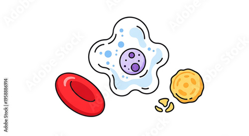 A colorful vector illustration of a cell with various components and organelles.