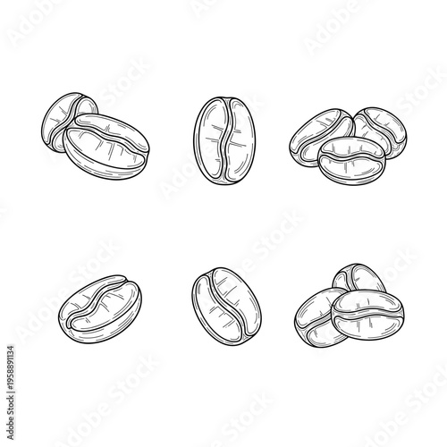 Collection of Hand-Drawn Coffee Beans in Various Arrangements.