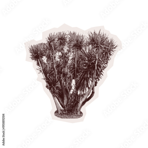 Halftone yucca tree sticker grunge cut out Vintage style Mimicking torn out collage old photo. Vector Isolated Y2K pop art shape Retro grain dotted texture transparent background. Grayscale scrapbook