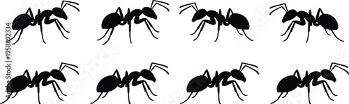 Ant silhouettes set, insect vector icons, bug graphics collection, black outline design, crawling ant shapes, nature biology artwork, pest control illustration