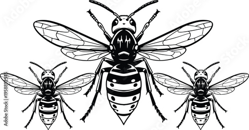 Bee silhouettes illustration, insect icon design, honeybee graphic concept, nature wildlife symbol, pollination element, educational insect anatomy, striped bug drawing